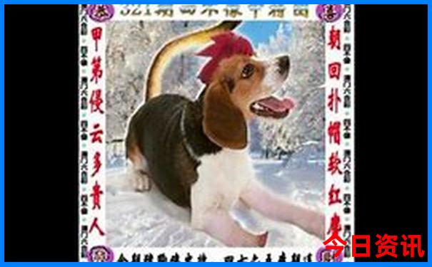 重庆必去的十大景点